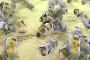 Destruction of tuberculosis bacteria, 3D illustration. Conceptual image for tuberculosis treatment