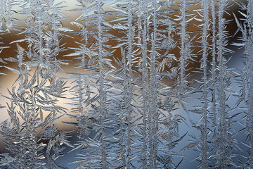 winter pattern of ice crystals on glass