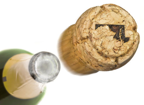 Launched champagne cork with the shape of Maryland burnt in.(ser