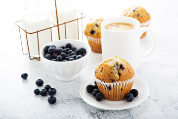Fototapeta na wymiar Bright and airy breakfast with blueberry muffin