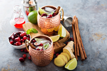 Moscow mule cocktail with ginger and cranberry