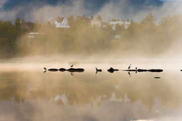 Obraz na płótnie Canvas Morning fog on the lake.Tromso.Norway