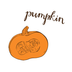 Pumpkin set sketch drawn by ink. Hand lettering. Hand drawn vector illustration.