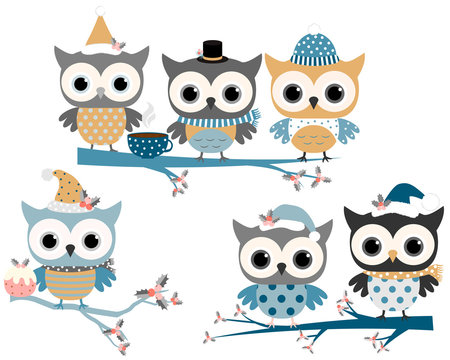 Cute winter owls with hats and scarves on tree branches in blue and grey colors