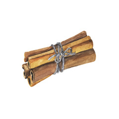 Cinnamon sticks isolated on white background. Hand drawn vector watercolor illustration.