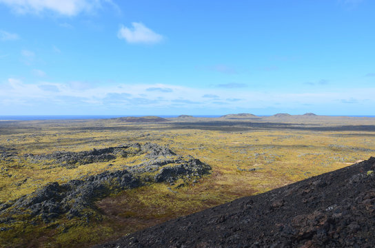 Moss Covered Lava Field and Lava Rock in Iceland