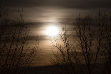 Fototapeta premium fullmoon