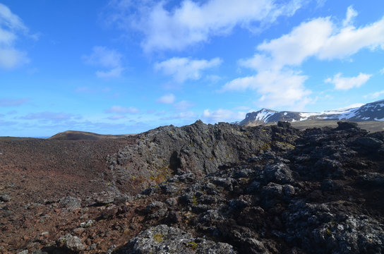 Lava Rock on a Barren Landscape in Iceland