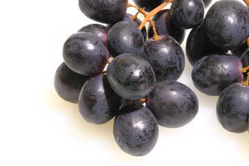 Blaue Weintrauben