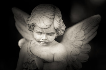 guardian angel - black and white photo