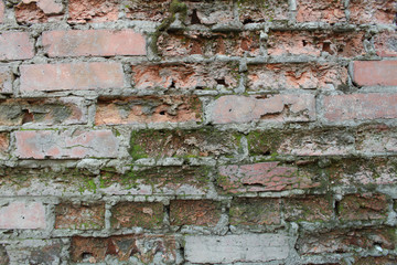 Brick wall texture