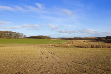 yorkshire wolds farming landscape