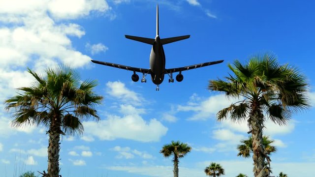 The plane flies over the palm trees, travel weekend