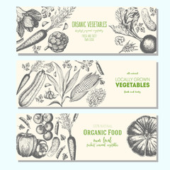 Set of banners with hand-drawn vegetables. Vector illustration for vegetables market. Vertical banner collection. Vintage elements for design.