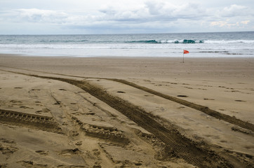 Tracks at the beach