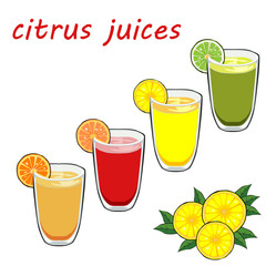 Fruit and vegetable juices on a white background.