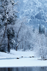 Merced river blanketed with snow