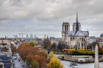 Fototapeta na wymiar Notre Dame de Paris en hiver