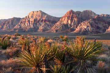 Wandcirkels Pantone 2025 Mocha Mousse Ochtend bij Red Rocks  © Eric