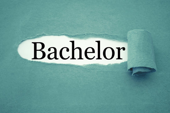 Master Bachelor Karriere Bewerbung Karriereleiter