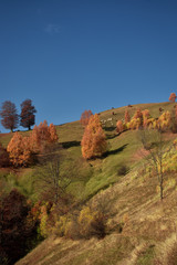 Evening sunset on mountain hills of Simon village. Bran.