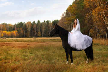 Panna młoda siedzi na koniu jesienią. - obrazy, fototapety, plakaty