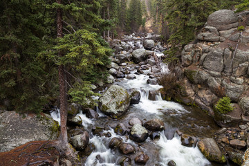 Tower Creek in Yellowstone