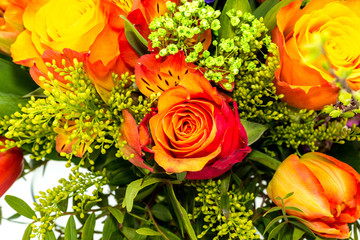 Fototapeta premium Orange rose