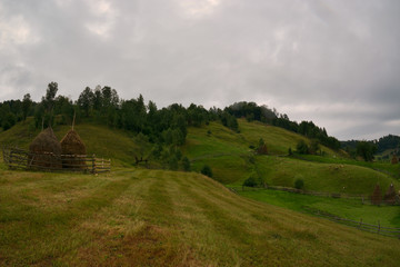 Obraz premium mountain landscape in summer morning - Fundatura Ponorului, Romania
