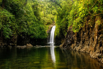 Fototapeta na wymiar Wainibau Waterfall at the end of Lavena Coastal Walk on Taveuni