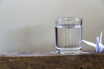 Water and birds for Peace