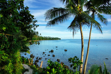 Fototapeta na wymiar Ocean view along Lavena Costal Walk on Taveuni Island, Fiji