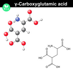 Carboxyglutamic acid molecule