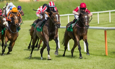 Foto op Plexiglas Paardrijden Race horses sprinting around the turn towards  the finish line