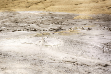 Muddy vulcanoes, in Buzau Romania