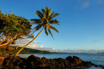 Fototapeta na wymiar Coastline in Lavena village on Taveuni Island, Fiji