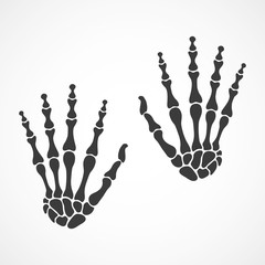 Skeleton hand. Vector illustration.