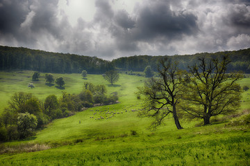 Obraz premium landscape with blue sky and clouds
