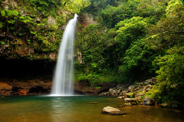 Fototapeta premium Wodospady Lower Tavoro w Parku Dziedzictwa Narodowego Bouma, Taveuni