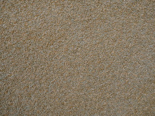 Grain seeds background

