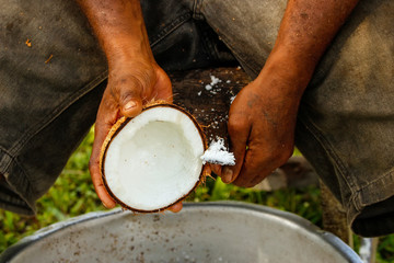 Close-up of men's hands scraping coconuts in Lavena village,  Ta © donyanedomam