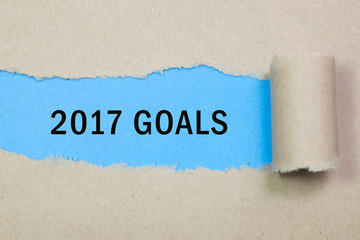 2017 GOALS written under torn paper