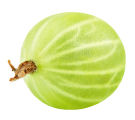 Closeup of one green gooseberry berry isolated on white background