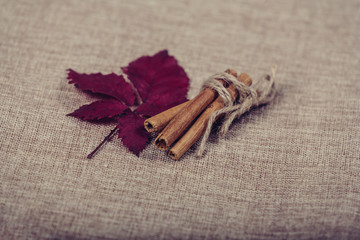 Autumn background with leaves and cinnamon
