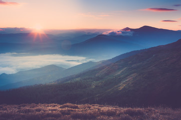 Beautiful landscape in the mountains at sunrise. View of foggy hills covered by forest. Filtered image:cross processed retro effect. 