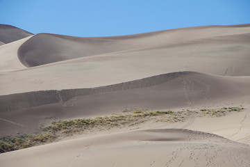 Fototapeta na wymiar Sand dunes in the Colorado afternoon