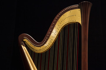Beautiful shape of harp, close up on the dark, black background