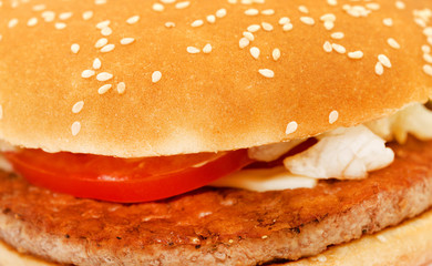 Photos big tasty burger