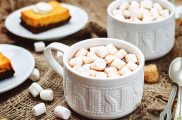 Fototapeta na wymiar hot cocoa with mini marshmallows