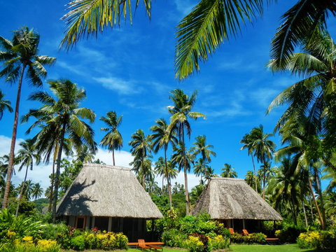Traditional houses with thatched roof on Vanua Levu Island, Fiji